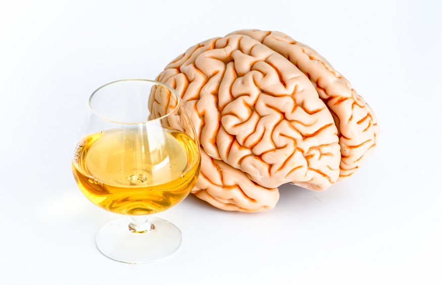 Alcohol and the Brain: Exploring the Connection