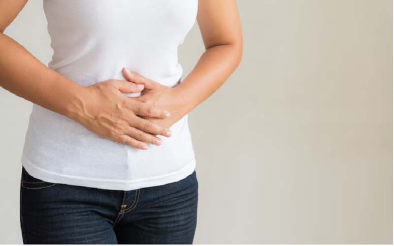 The Gut-Inflammation Connection: A Key to Better Health and Well-Being